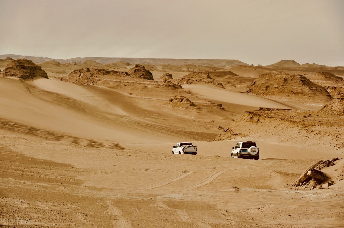 可可西里自然保护区|可可西里无人区到底有多可怕？