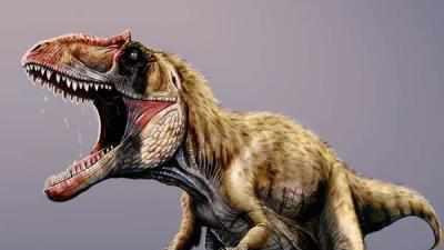 地球上十大食肉恐龙排行，全都非常凶猛，最大的并非霸王龙