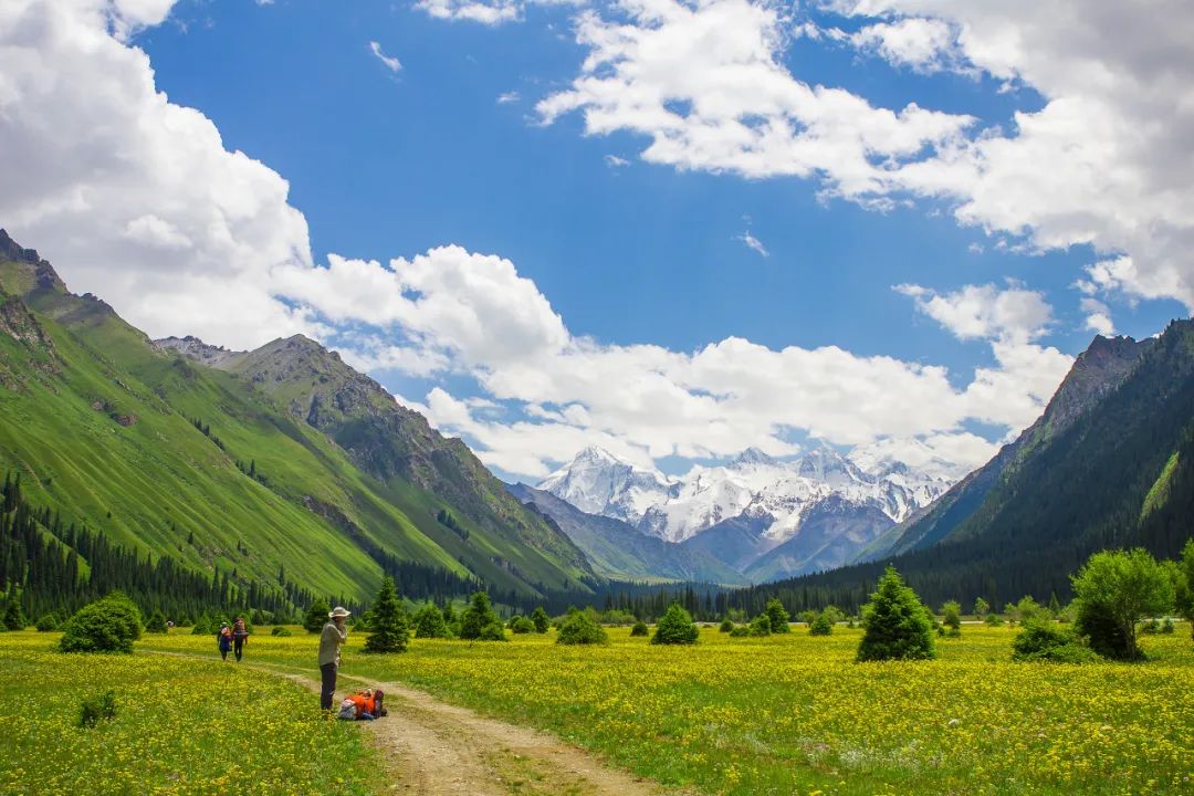 成都|新疆伊犁夏季最美风景，看你去过几个呢？