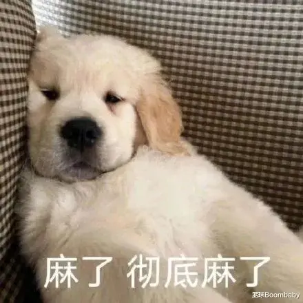 火箭队|麻了！格林简直在犯罪啊！