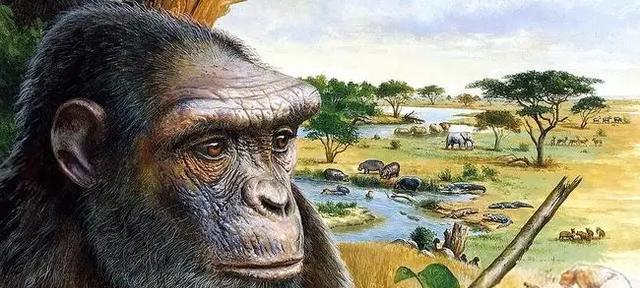 黑人的基因与白人接近,还是与黄种人更接近?为什么?