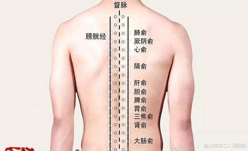 针灸|成人发热退烧难,中医外治来助力!