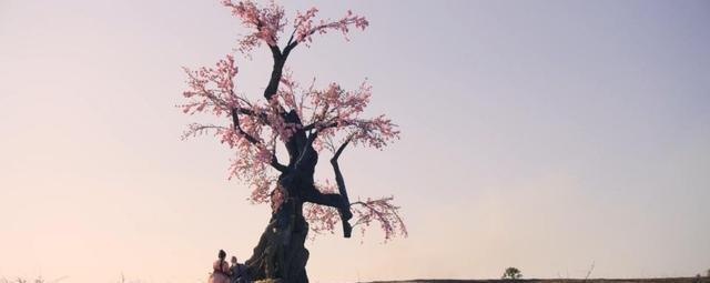 曾舜晞|播放量破8700万，刚播1天就成“王炸”，《说英雄》熬夜追不想停