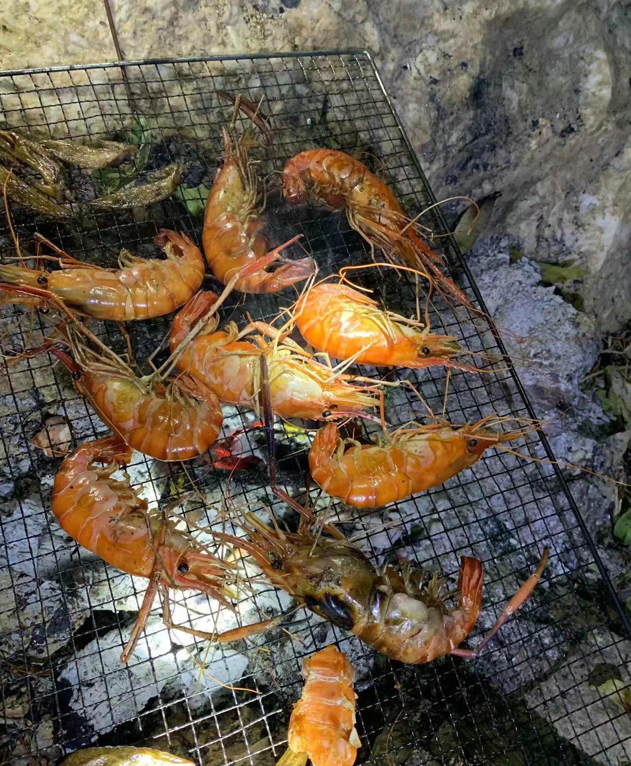 昌化江|昌化江出现许多“大虾”，钓鱼人：一夜钓了十来条，大的半米多长-今日头条