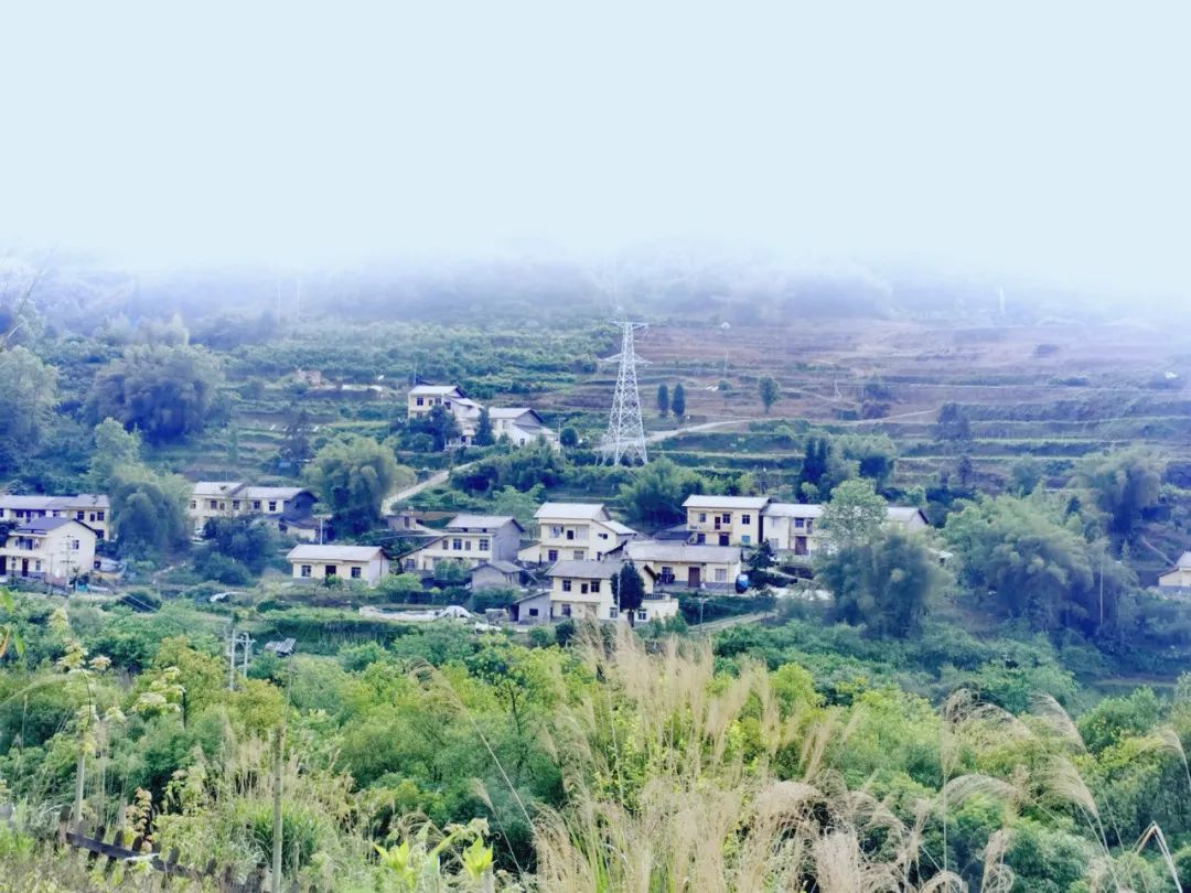 |旅游资源平平的万盛，却逆袭成为康养圣地！