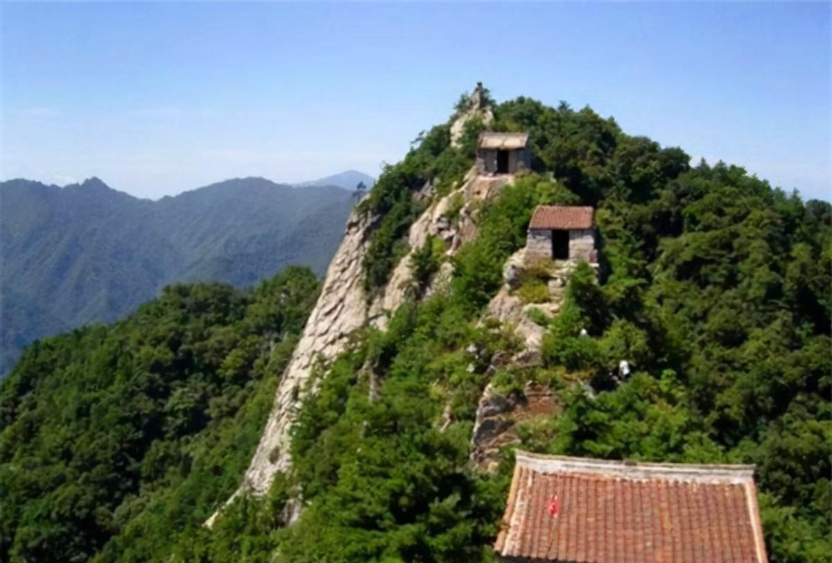 2014年,一姑娘失恋隐居终南山,幻想修道成仙,却被山中房租打败