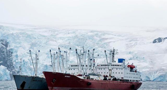 南极发现移动的“海上金矿”，储量可达10亿吨，我国或成赢家