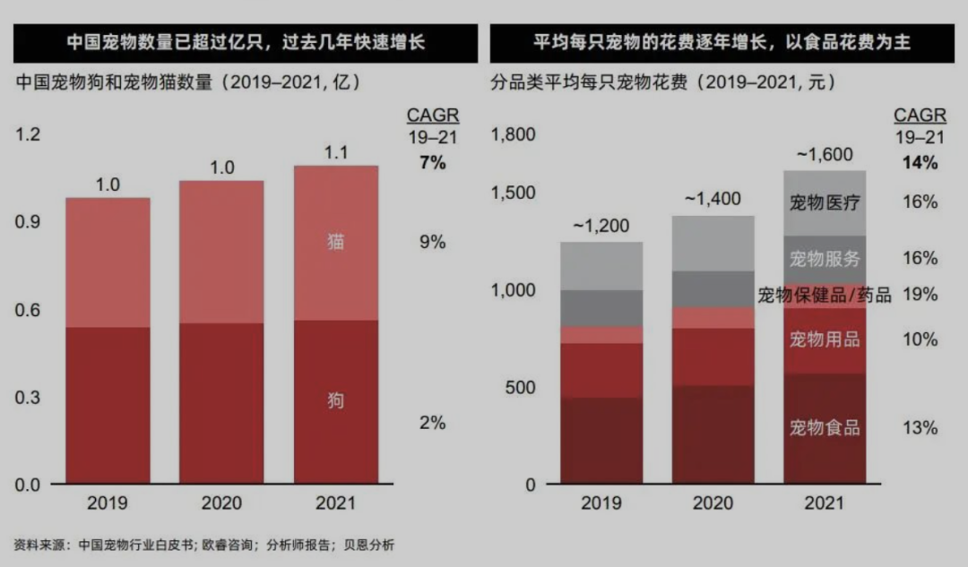 苹果|回归商业本质,淘系“双11”追求优质增长的启示