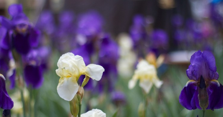 |好事需要多磨，终于找到了合适的新工作