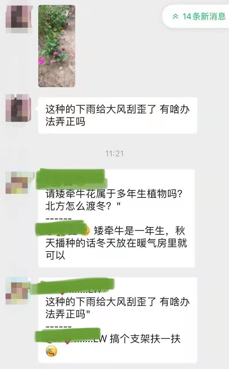 想找一个晒花、聊天的群,赶紧来看看这篇文章!