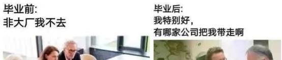 大学|毕业前“非大厂我不去”,毕业后“跪求”企业认领,网友:真相了