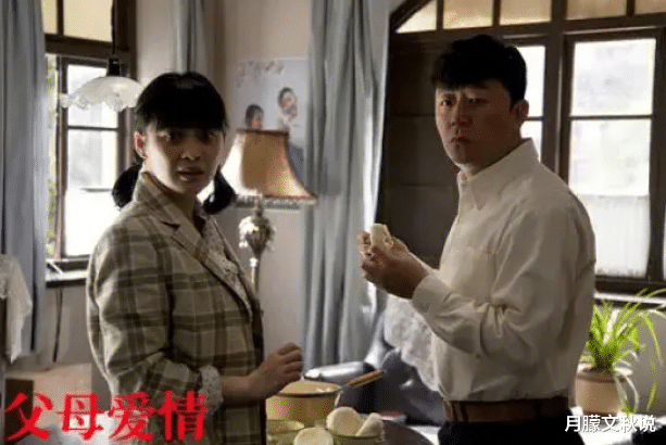 电视剧|电视剧《父母爱情》:让大家觉得剧中的爱情,真的很美好
