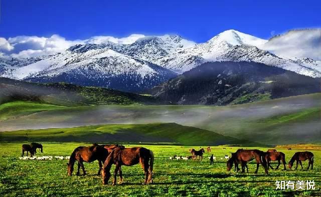 梯田|特别适合夏季旅游的9个美景地，收藏起来，加入你的出行计划吧！