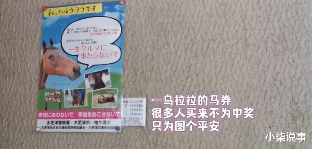 赛马场|她的爆红，狠狠甩了“只在乎赢”的社会一巴掌