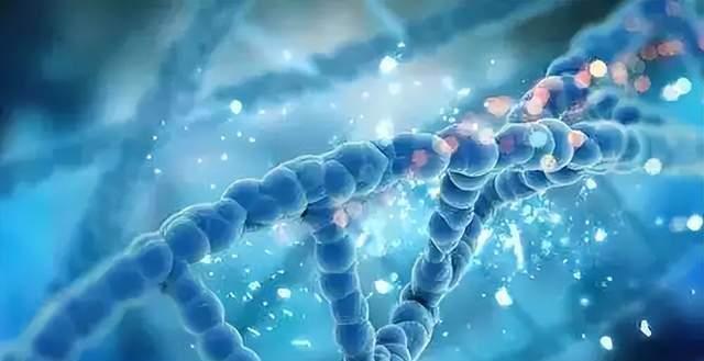 地球上有真正不死的生物吗?为什么?