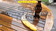 曝光95后女教师与70后中年男家长的真实聊天记录!