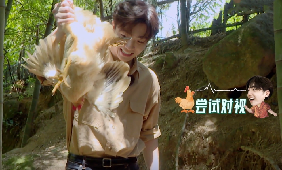 尹正|中餐厅6：尹正的双下巴，殷桃的脸，湖南台这档综艺的滤镜好真实