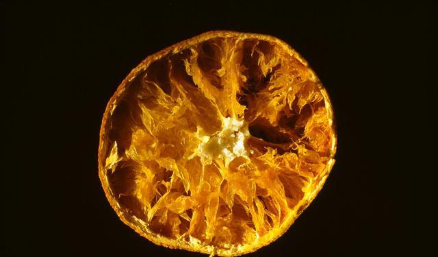 网络安全|想少走一些人生弯路?那么这些道理对你应该很有用!