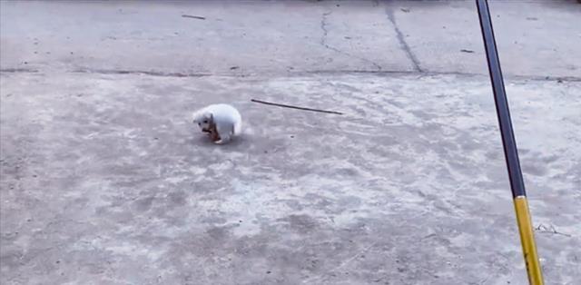 |四川男子禁渔期间想钓鱼，想出小妙招成功地过了瘾，网友直呼人才