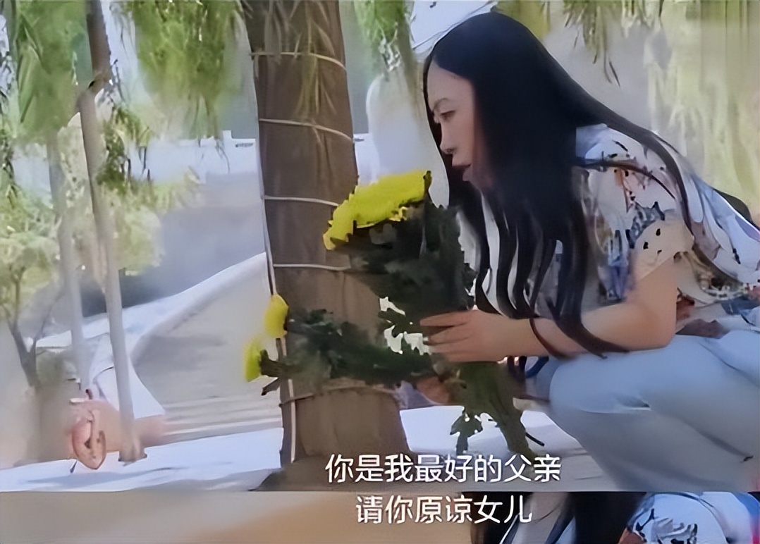 杨丽娟|16年过去了,曾经为见刘德华逼父亲跳海的杨丽娟,现在怎么样了?