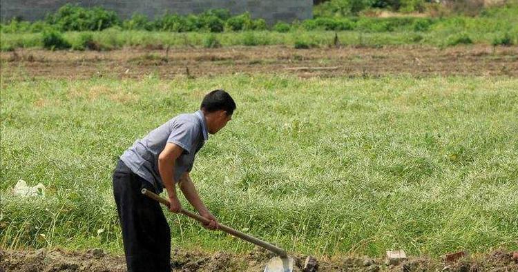 重庆老头拒缴电费与村支书闹翻,05年在其寿宴投毒:没想过会死人