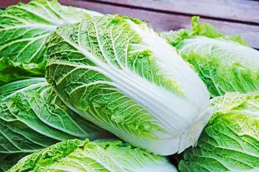 才发现，这种白菜不能买，不怪菜农，教你1秒认出“甲醛”菜