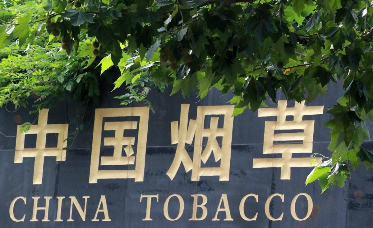 招聘|这3个岗位往届生也可以报考,不仅有五险一金,还有编制