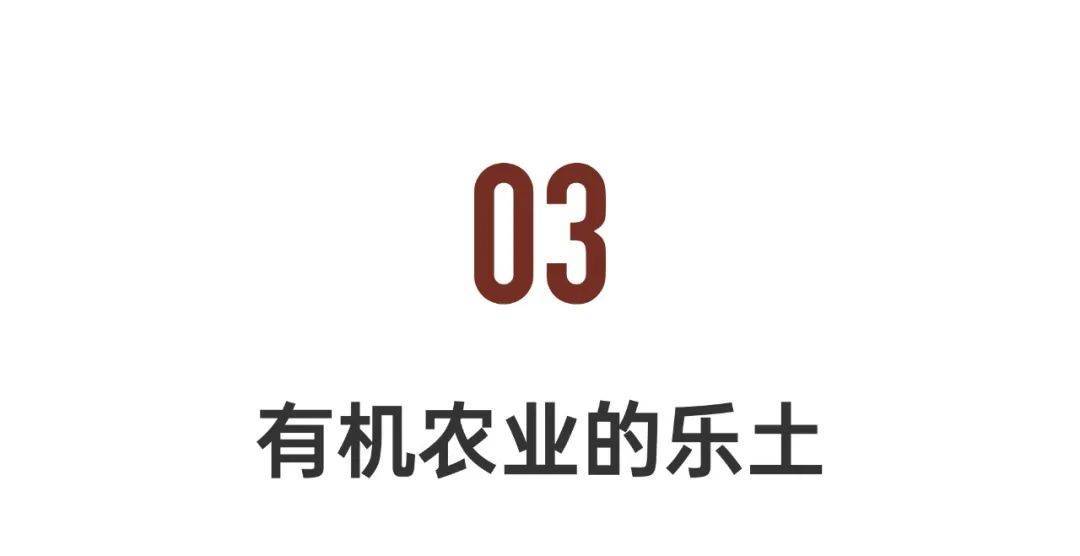上海市|上海最美水上村落，一群高学历青年抱团生活