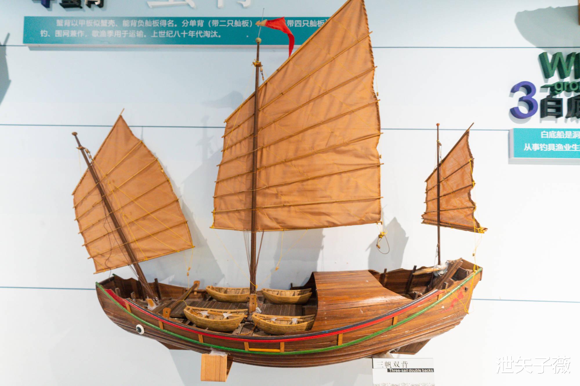 洞头|走，我们去洞头，看看这个百岛洞头究竟有多美……