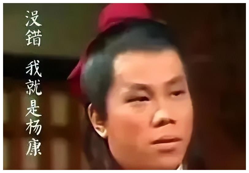 香港功夫巨星定居四川!因爱国言论被封杀,妻子惨遭泼硫酸毁容