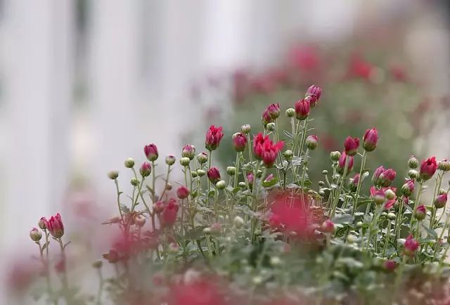 大山的视觉生活