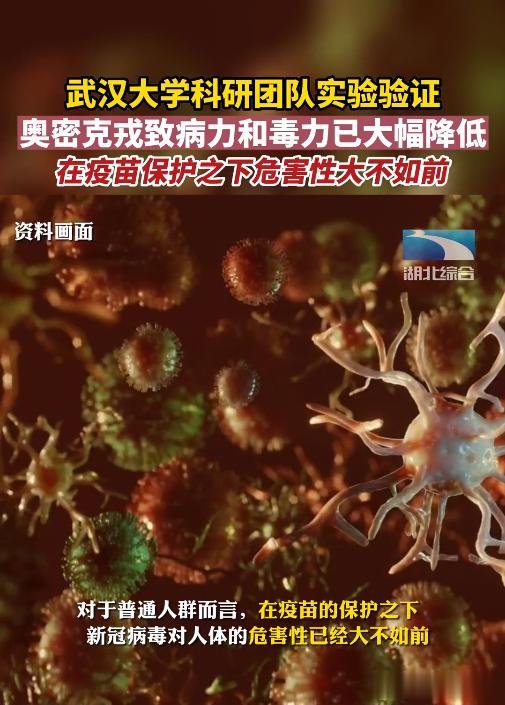 奥密克戎毒性是否更低?对人的危害是否小于原株?实验室结果出炉
