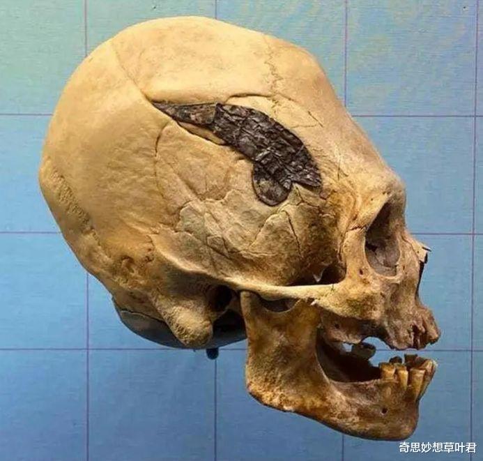 考古界世纪谜团!秘鲁挖掘出“外星头骨”,地外文明真的存在过?
