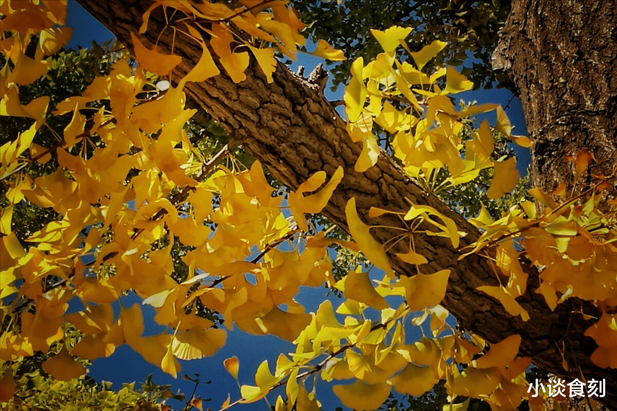 立秋|立秋后,天气变凉快还是继续炎热?谚语早有预兆,不妨看一看