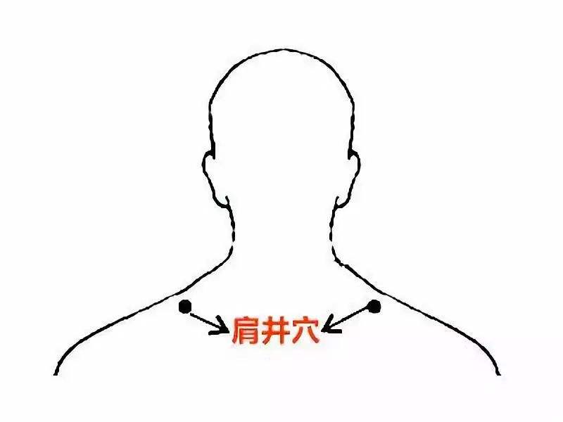 经络|人体十二经络不通有什么表现?医生教你判断,不花一分钱就能调理