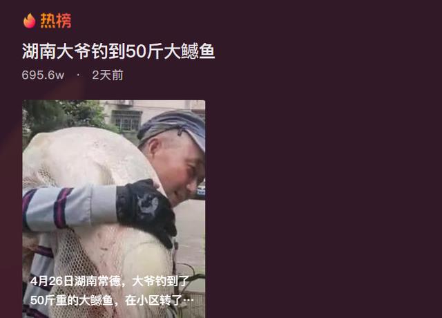 饵料|迷路了？湖南大爷钓到大型水老虎后到处晃悠不回家，网友：失忆了