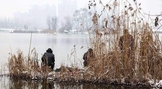 水库|寒潮来袭，极端降温也可以钓鱼！鱼儿会去这种地方