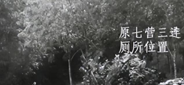 1974年,21岁上海女知青因外出上厕所失踪,几十年来音信全无