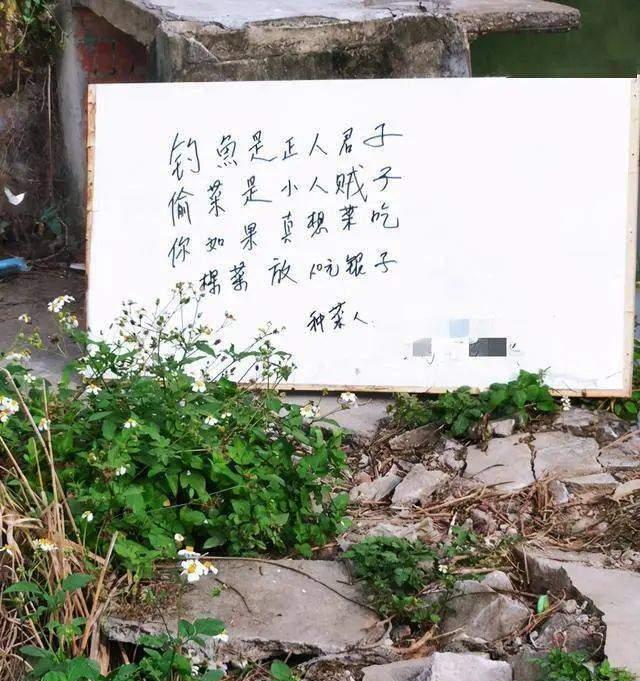 饵料|钓鱼人偷鸡摸狗？告你毁谤你知道吗！都是永不空军给害的