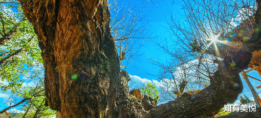 旅游市场|最好的夏天，最美的10个旅行地，个个美如仙境，你准备好出发了吗？