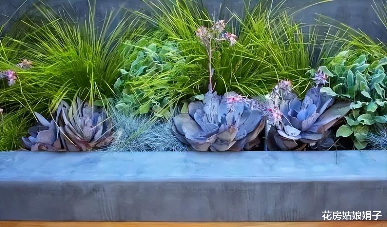 9个花园设计idea,打造出无法拒绝的懒人花园,还能降低维护成本