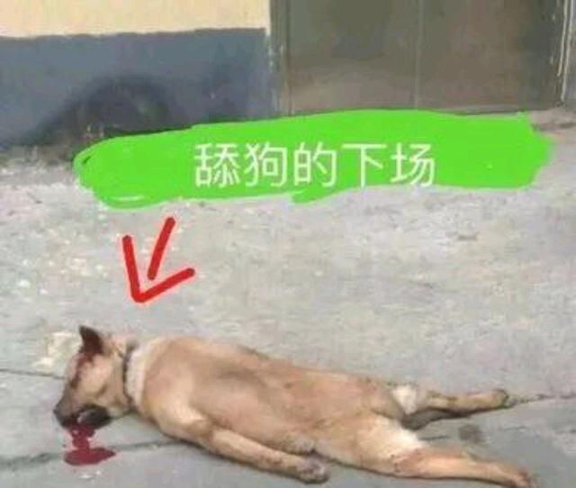 扎心了!宁波男子发现女友要和前男友复合结婚了,且不需要彩礼!