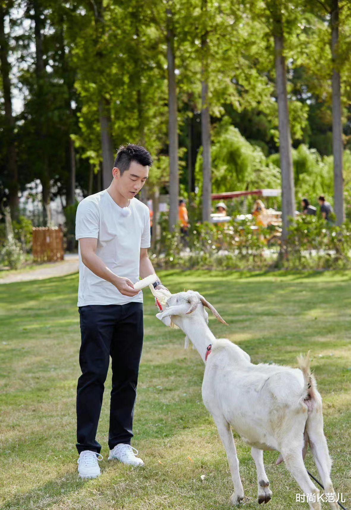 苗苗|郑恺苗苗录制《妻子6》,苗苗无袖上衣配长裙,简约却显气质!