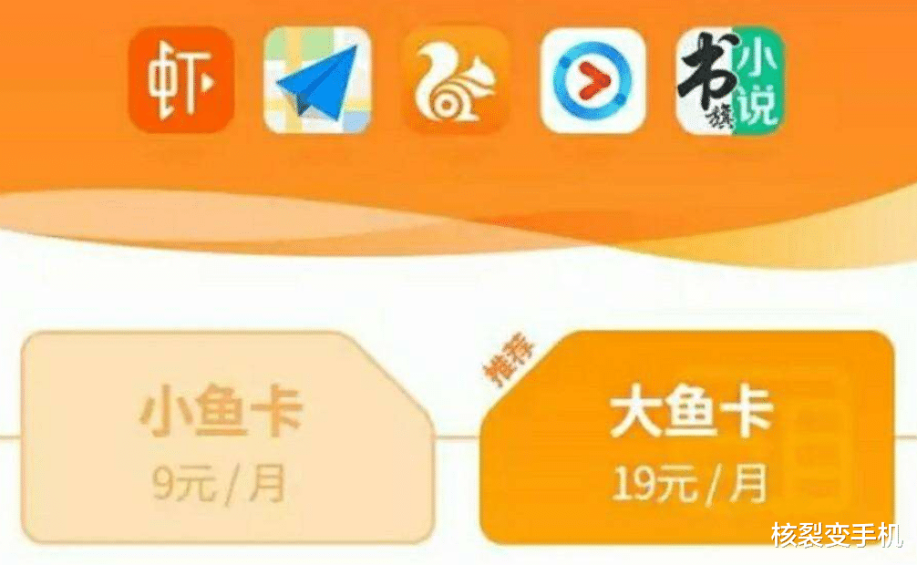 腾讯|腾讯大王卡套路深，最后换成了阿里大鱼卡