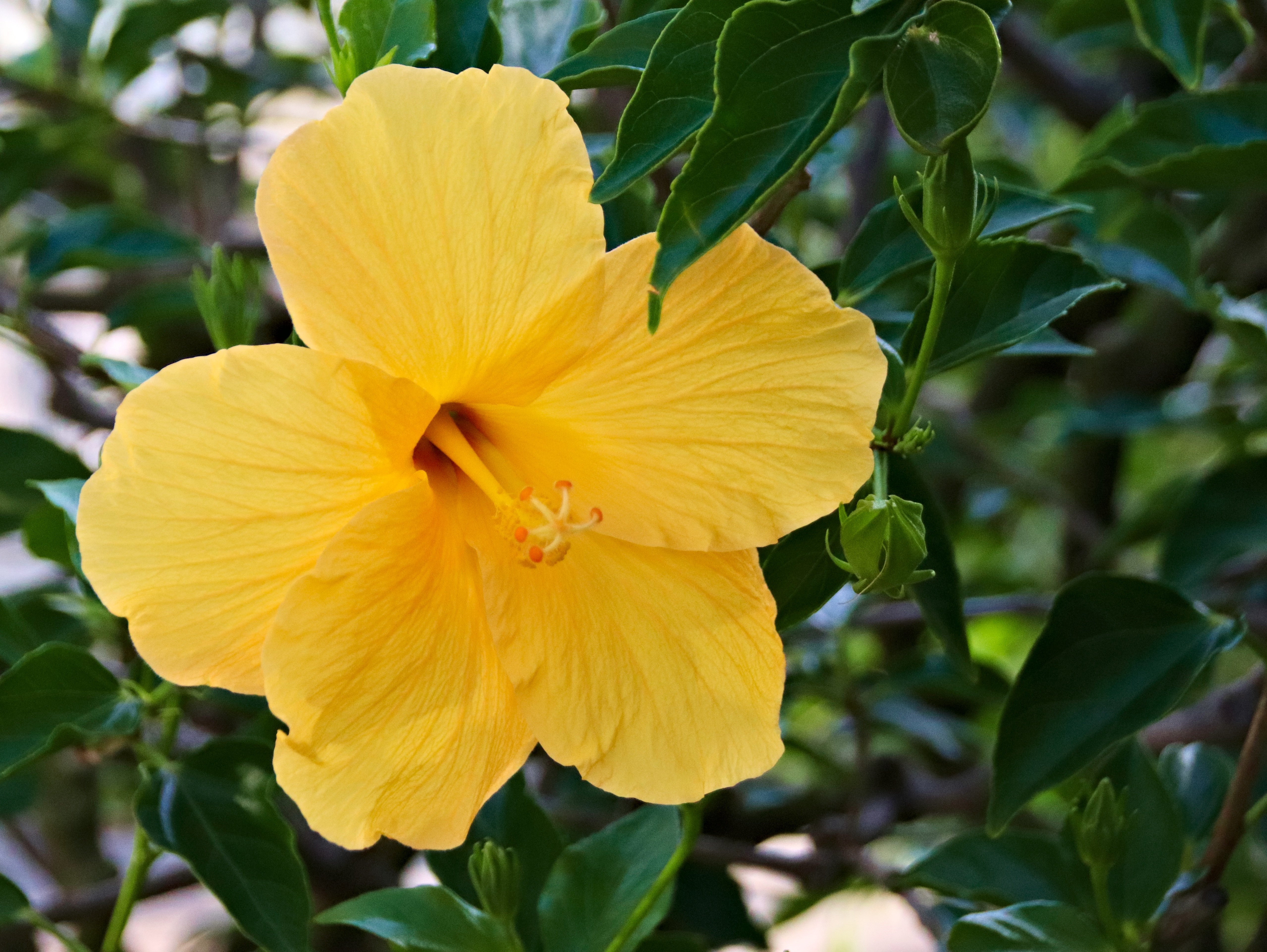 南渝先生：10大办公室风水潜规则