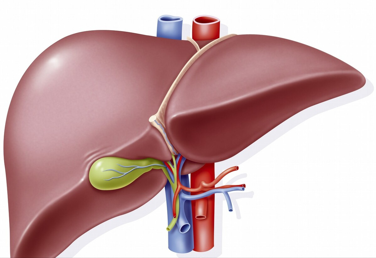 肝癌|吃一口等于喝10桶“马桶水”,医生提醒:已经有人肝癌离世,赶紧扔