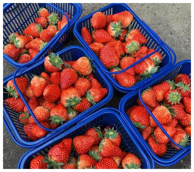 赵露思|赵露思晒成都“豪宅”火了：140㎡超大客厅，精致奢华，令人羡慕