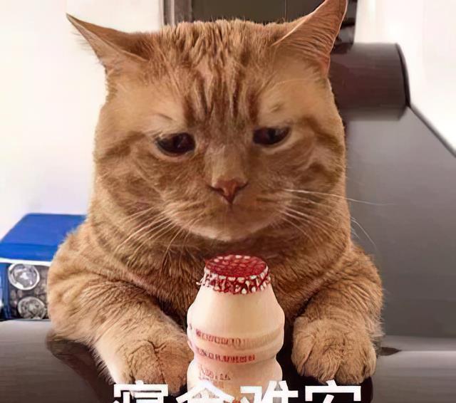 招聘|80后中年女人真实状态：“衣服廉价，日子无奈，生活一地鸡毛”