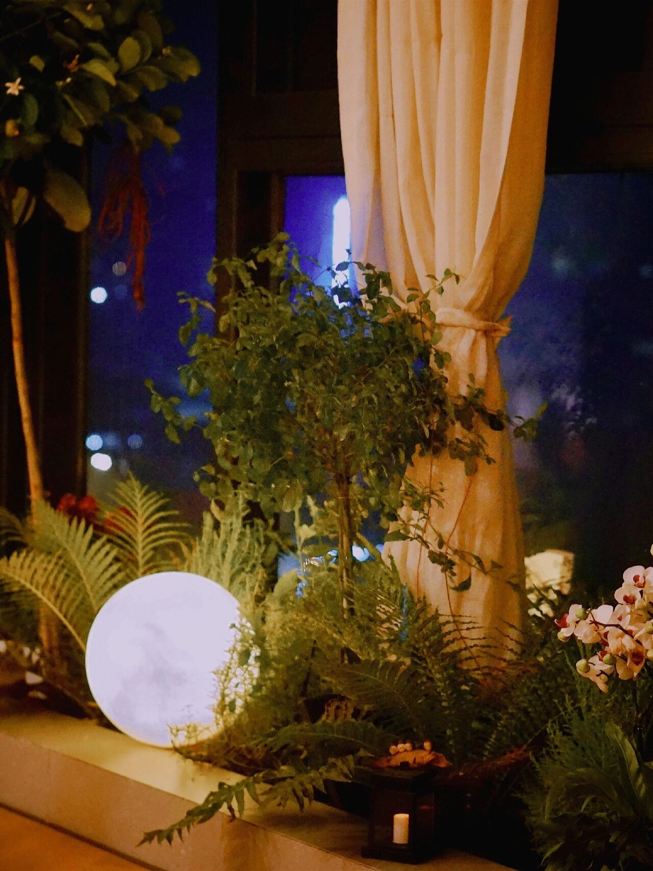 封闭式阳台,一样可以“造花园”,教你改造有花有鱼的室内花园