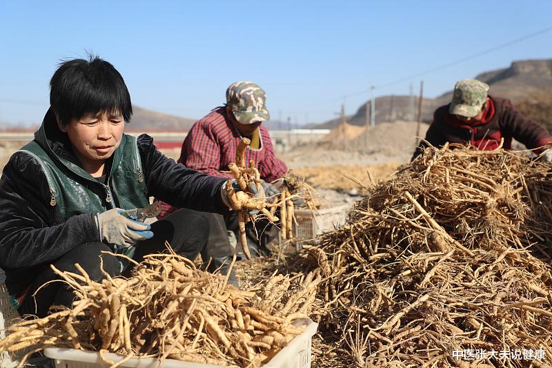 运动|2023医考「中医」:全新学习中药记忆法,羌活,独活,白芷,防风